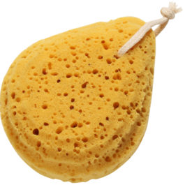 Eponge-de-bain.jpg